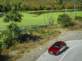 Mazda backs carbon-neutral biofuel research