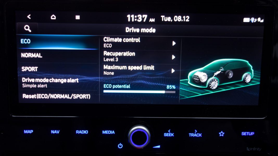 Hyundai Ioniq Electric eco display