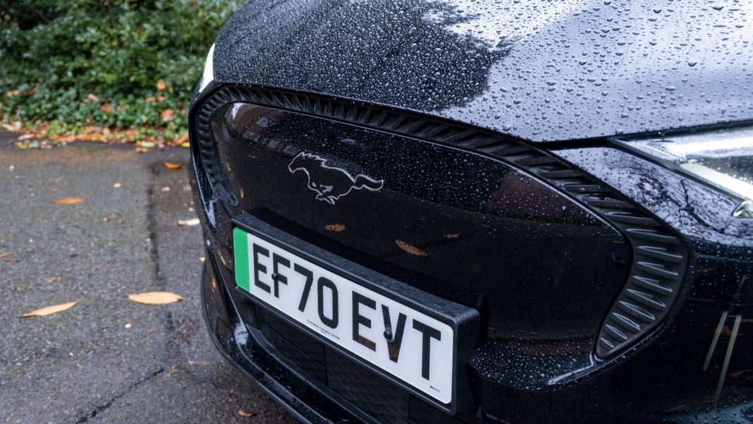 Ford Mustang Mach-E grille