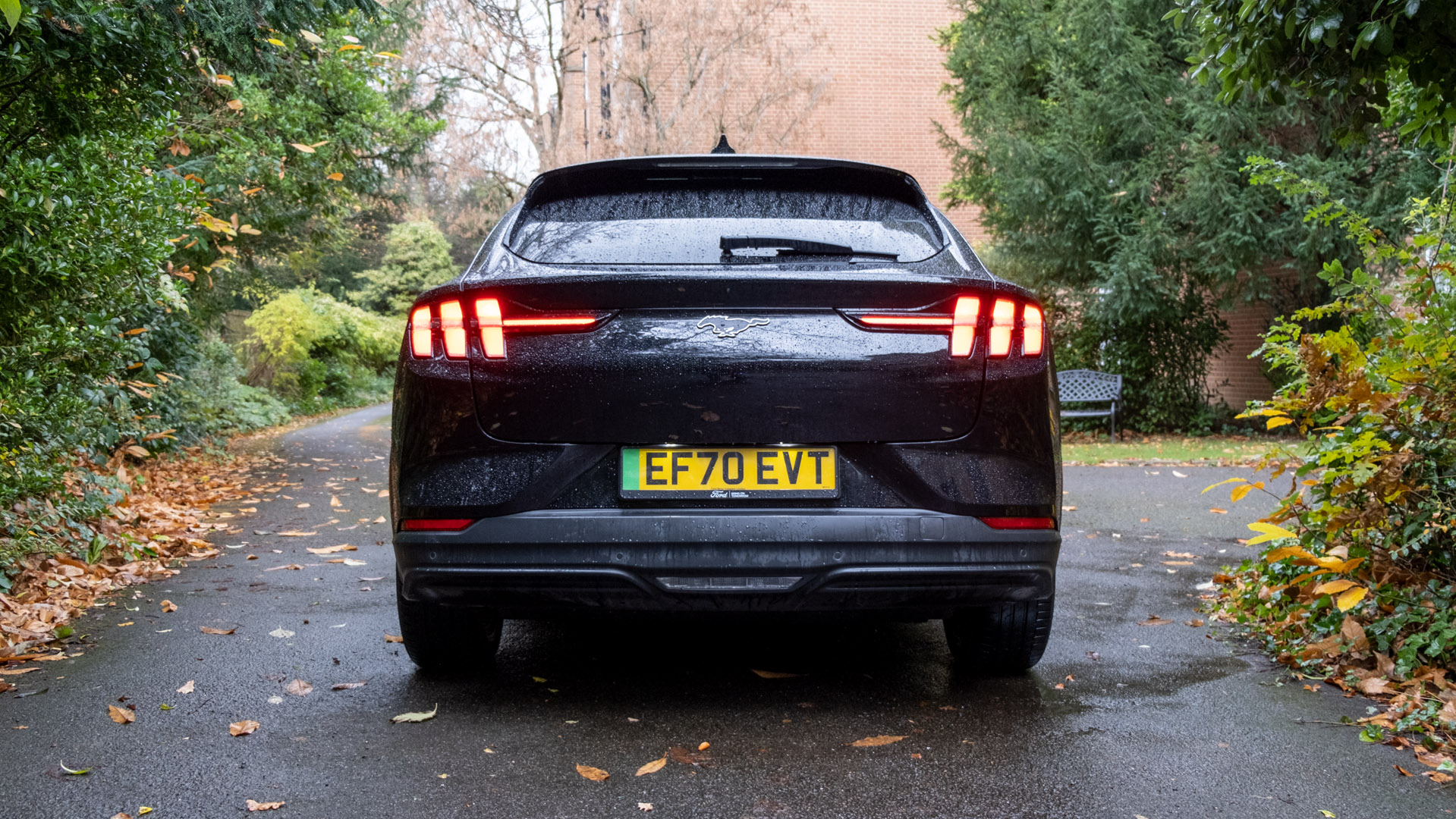 Ford Mustang Mach-E rear
