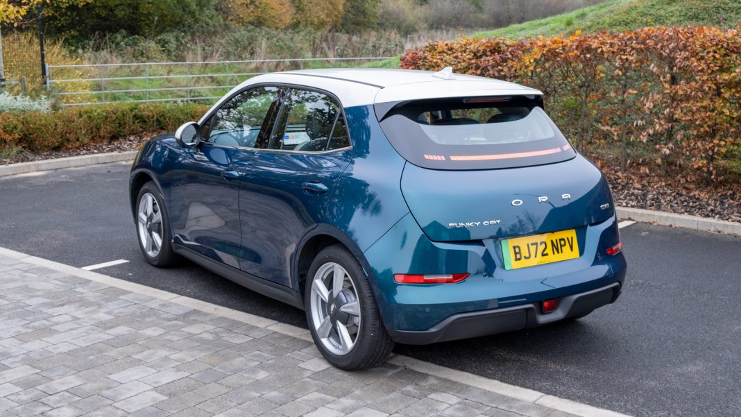 Ora Funky Cat design