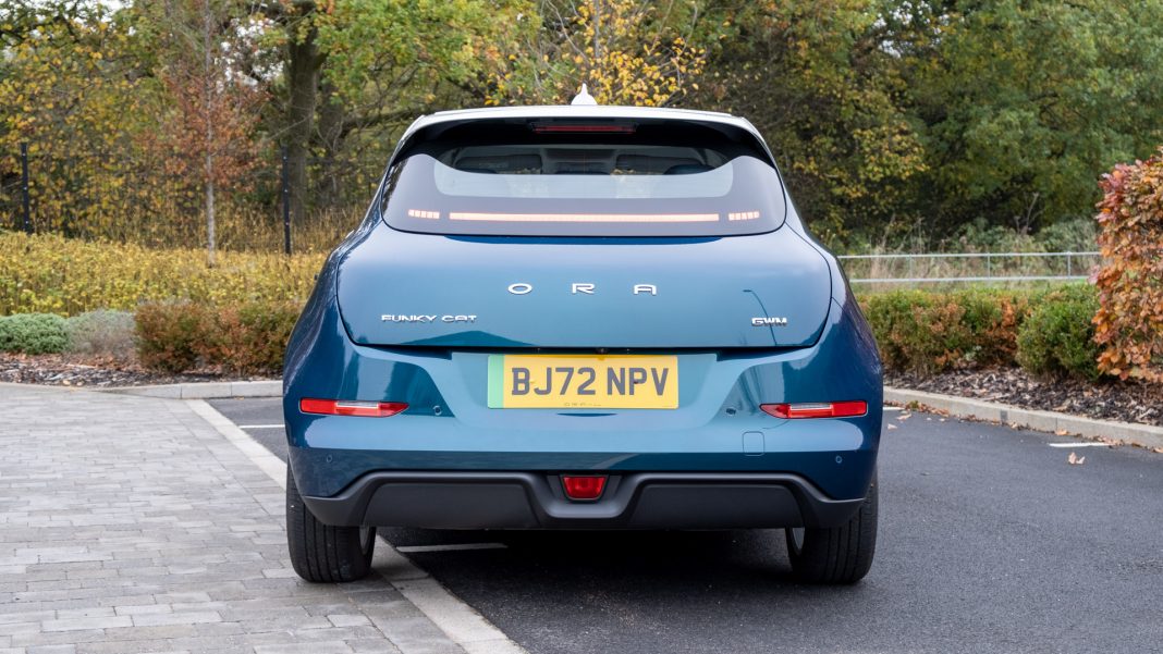 Ora Funky Cat rear