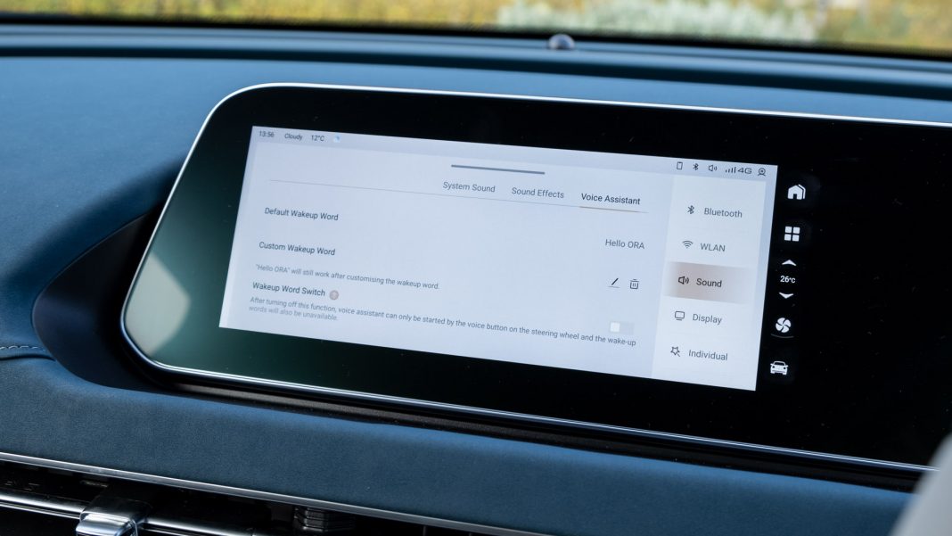 Ora Funky Cat voice control