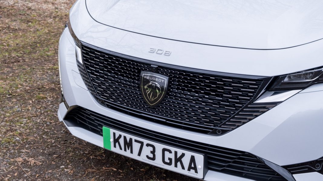 Peugeot e-308 grille
