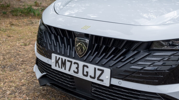 Peugeot 508 grille